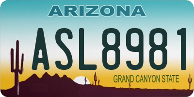 AZ license plate ASL8981