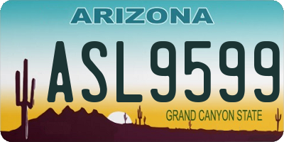 AZ license plate ASL9599