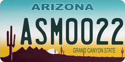 AZ license plate ASM0022