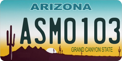 AZ license plate ASM0103