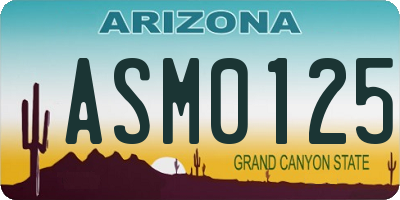 AZ license plate ASM0125
