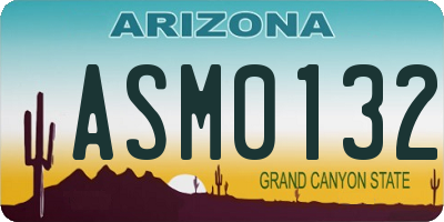 AZ license plate ASM0132