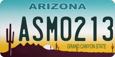 AZ license plate ASM0213