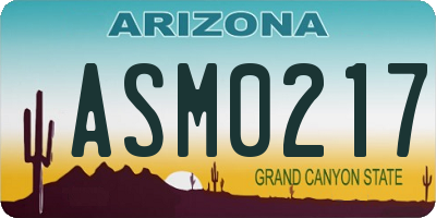 AZ license plate ASM0217