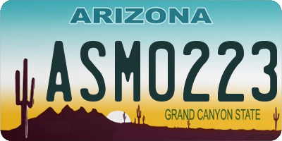 AZ license plate ASM0223