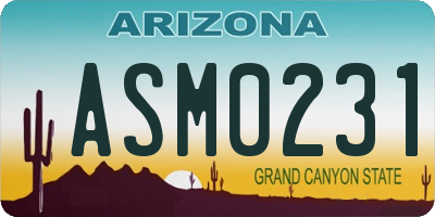 AZ license plate ASM0231