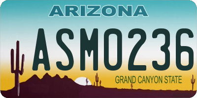 AZ license plate ASM0236