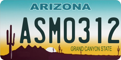 AZ license plate ASM0312