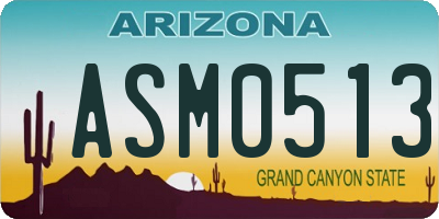 AZ license plate ASM0513
