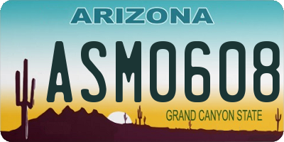 AZ license plate ASM0608