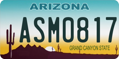 AZ license plate ASM0817