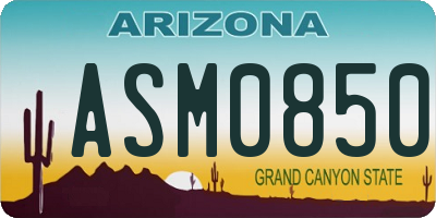 AZ license plate ASM0850