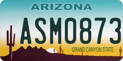 AZ license plate ASM0873