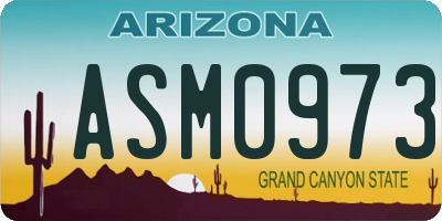 AZ license plate ASM0973