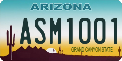 AZ license plate ASM1001
