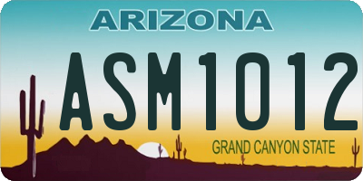AZ license plate ASM1012