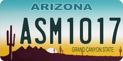 AZ license plate ASM1017