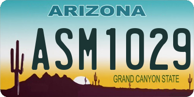 AZ license plate ASM1029