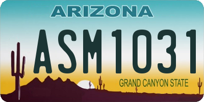 AZ license plate ASM1031