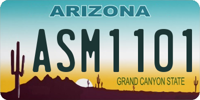 AZ license plate ASM1101