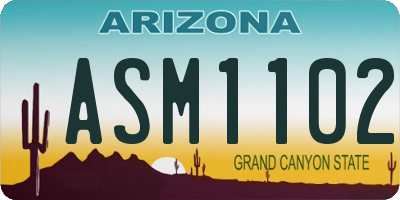 AZ license plate ASM1102