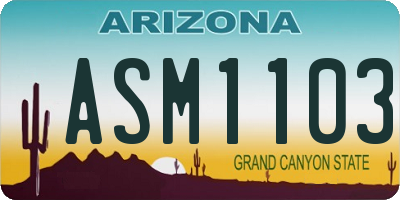 AZ license plate ASM1103