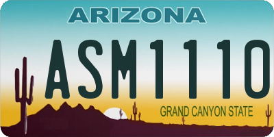 AZ license plate ASM1110