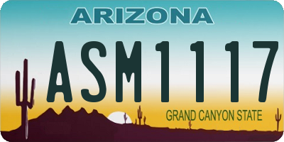 AZ license plate ASM1117
