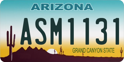 AZ license plate ASM1131