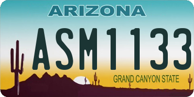 AZ license plate ASM1133
