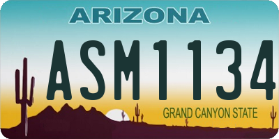 AZ license plate ASM1134