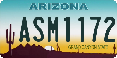 AZ license plate ASM1172