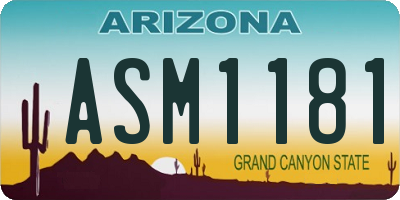 AZ license plate ASM1181