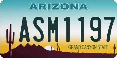AZ license plate ASM1197