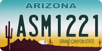 AZ license plate ASM1221