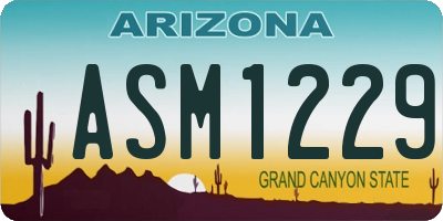 AZ license plate ASM1229
