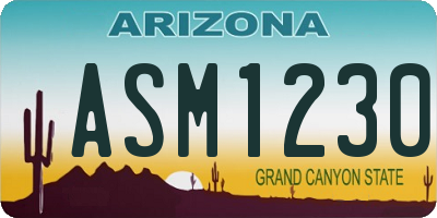 AZ license plate ASM1230