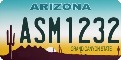 AZ license plate ASM1232