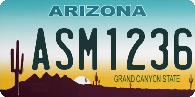 AZ license plate ASM1236