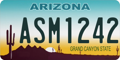 AZ license plate ASM1242