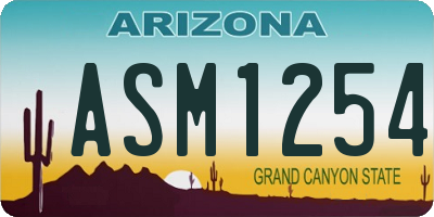 AZ license plate ASM1254