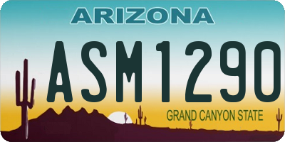 AZ license plate ASM1290