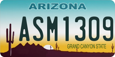AZ license plate ASM1309