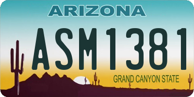 AZ license plate ASM1381