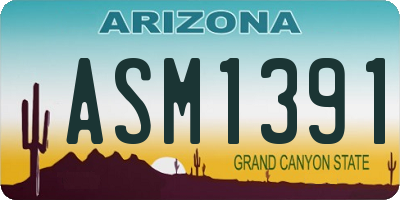 AZ license plate ASM1391