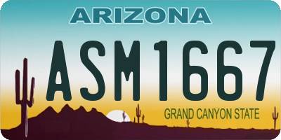 AZ license plate ASM1667