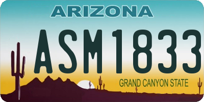 AZ license plate ASM1833