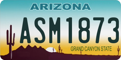 AZ license plate ASM1873