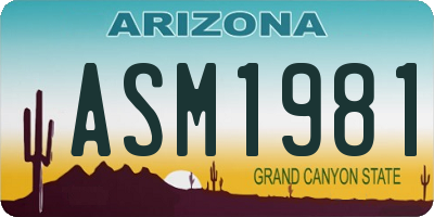 AZ license plate ASM1981