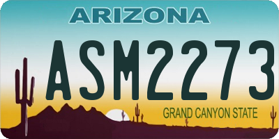 AZ license plate ASM2273